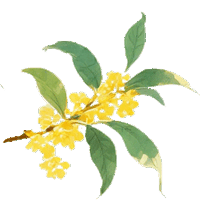 同样是养生，为何你越补越虚？九种体质自测指南