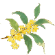 同样是养生，为何你越补越虚？九种体质自测指南