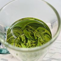 高山云雾茶，每一口都是春天