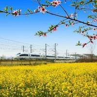 火车票上G、D、Z、K不是高铁动车的意思？买错车次费钱又误事！