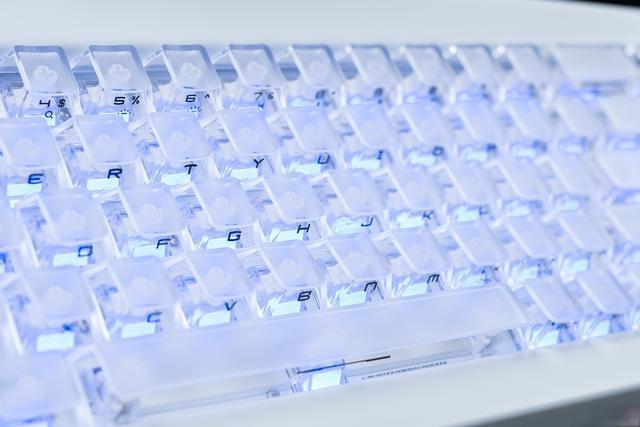 99到2599的磁轴键盘差在哪？FPS玩家实测把坑替你踩了