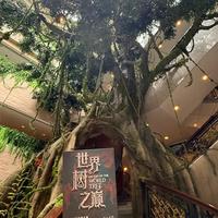 上博美洲展3000件文物一次性空降！普通人观展避堵攻略，错过再等一辈子