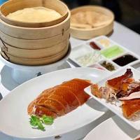 四季民福故宫店排队10小时实测避坑：不用排队的正确打开方式