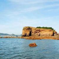 青岛这座被雷军带火的野岛,到底是捡到宝还是踩了坑?