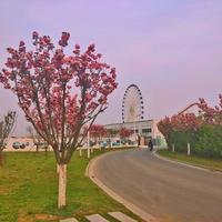 去宿迁玩住湖边还是市区?这篇攻略帮你做选择