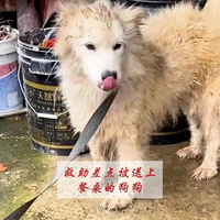 它做错了什么（1）