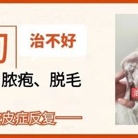 狗狗皮肤病反复花了5000+，最后发现缺的不是药，是这一步