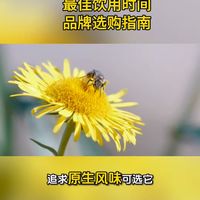 蜂蜜品牌选购指南，正确保存方法，最佳饮用时间