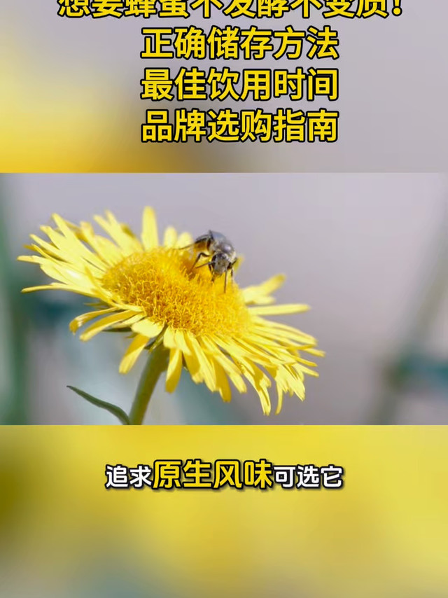 蜂蜜品牌选购指南，正确保存方法，最佳饮用时间