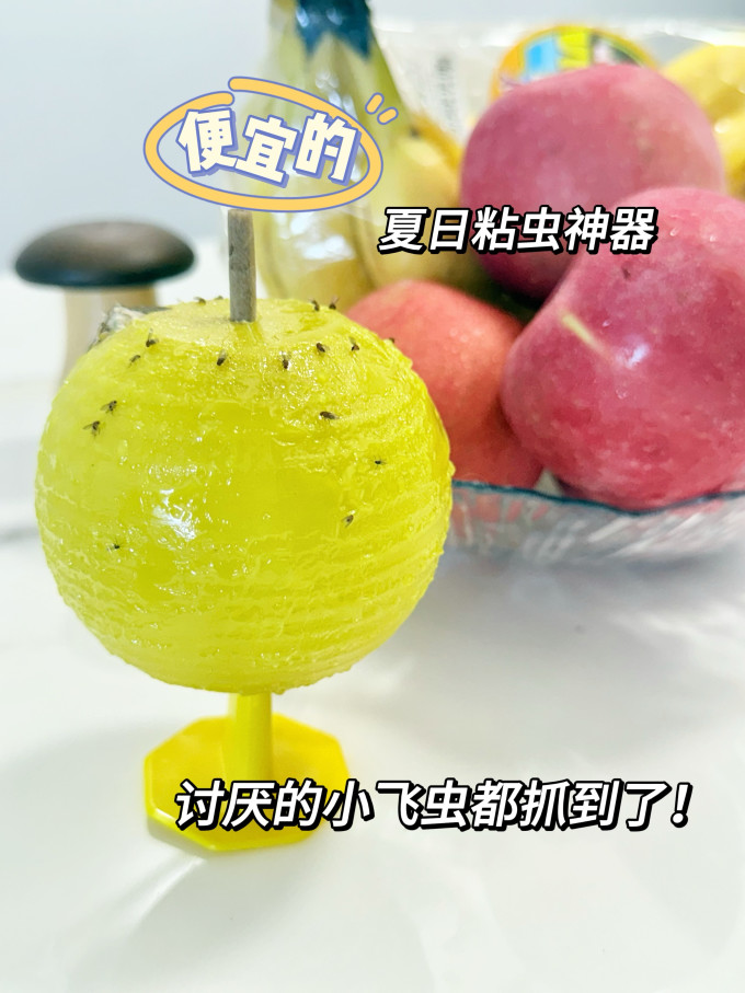 苍强生活用品