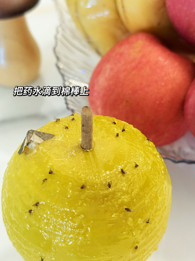 苍强生活用品