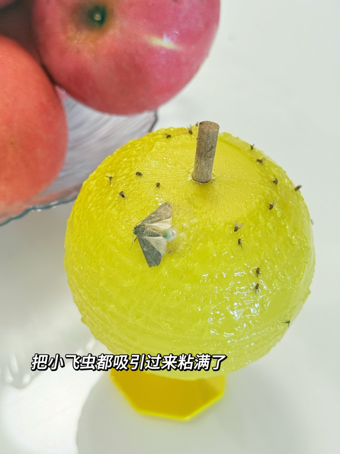 苍强生活用品