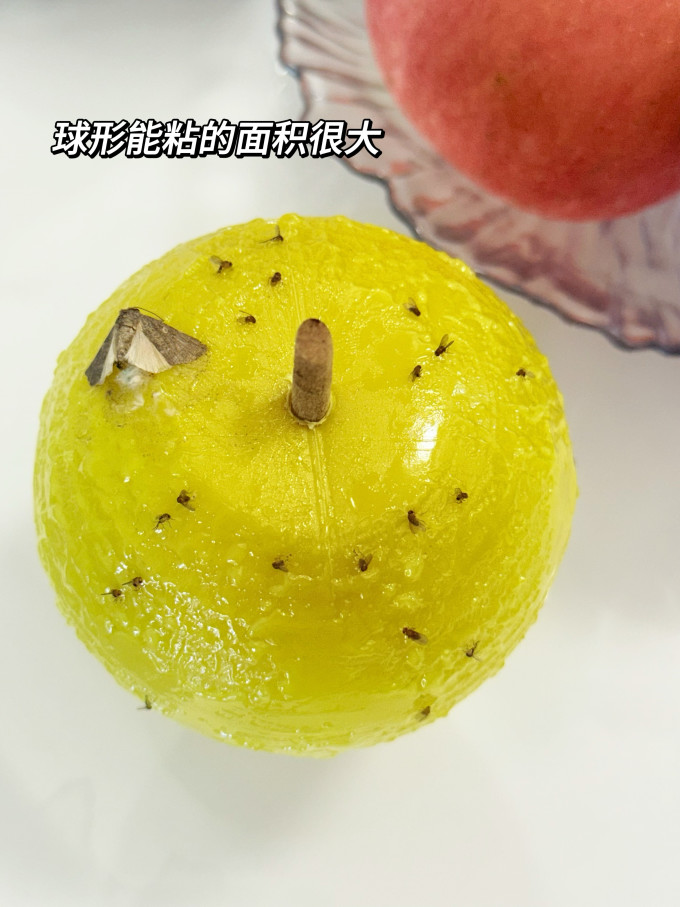 苍强生活用品
