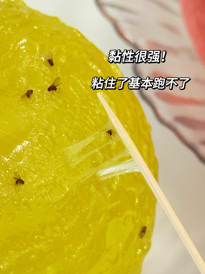 苍强生活用品