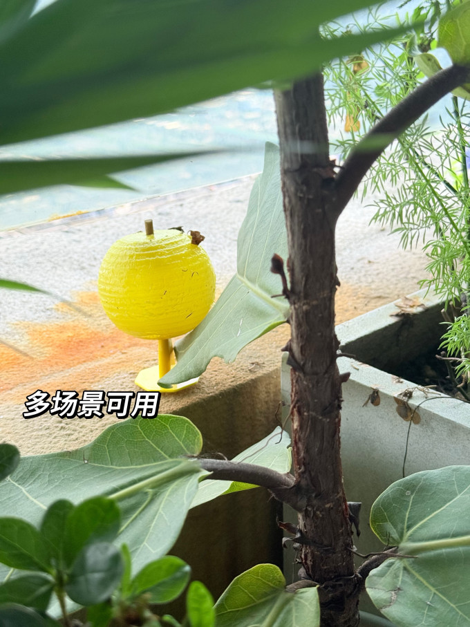 苍强生活用品