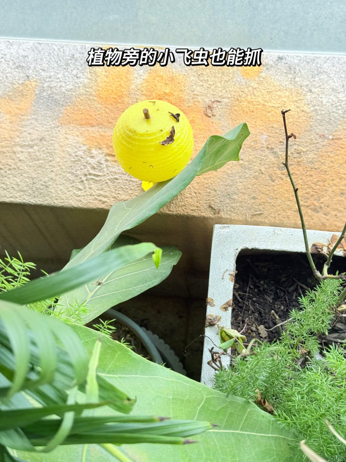 苍强生活用品