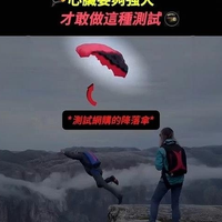 自由的飞翔，勇敢且惬意