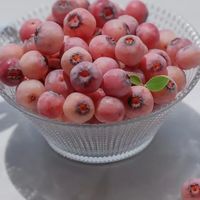 粉色蓝莓600元/斤到底值不值？花青素含量让人意外