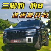 上了云辇-P Ultra的豹8，抬起一个脚还能开吗