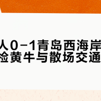 花200块买票却被黄牛停车打车坑?铁人主场看球避坑指南