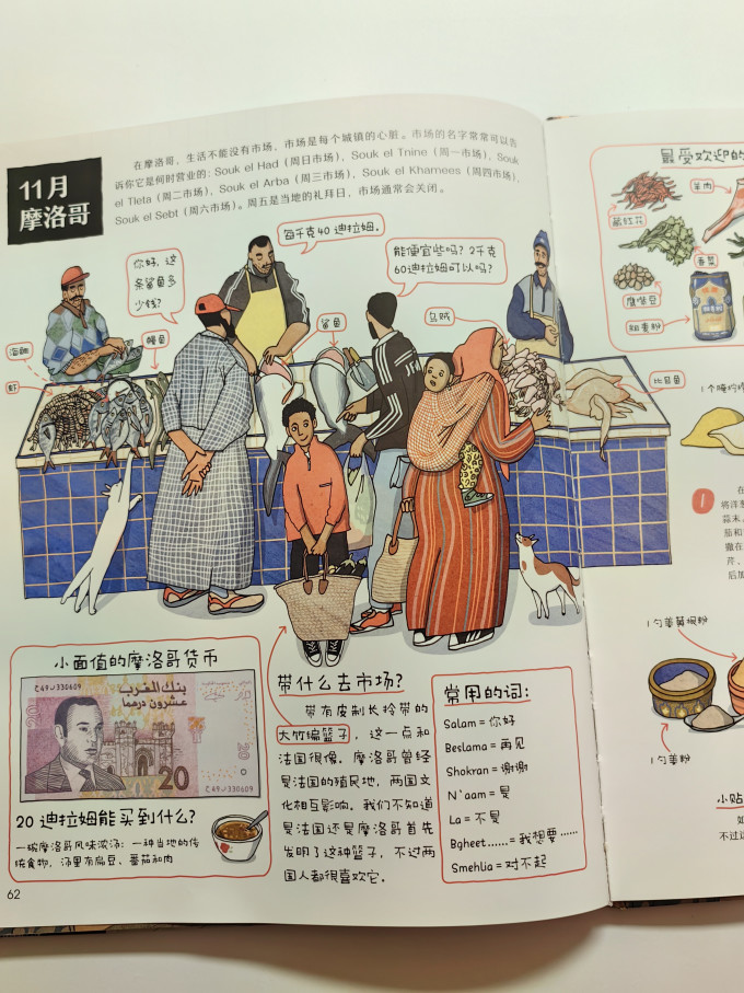 科普/百科