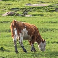 赤峰｜大青山徒步攻略！跟着我绝不会走错