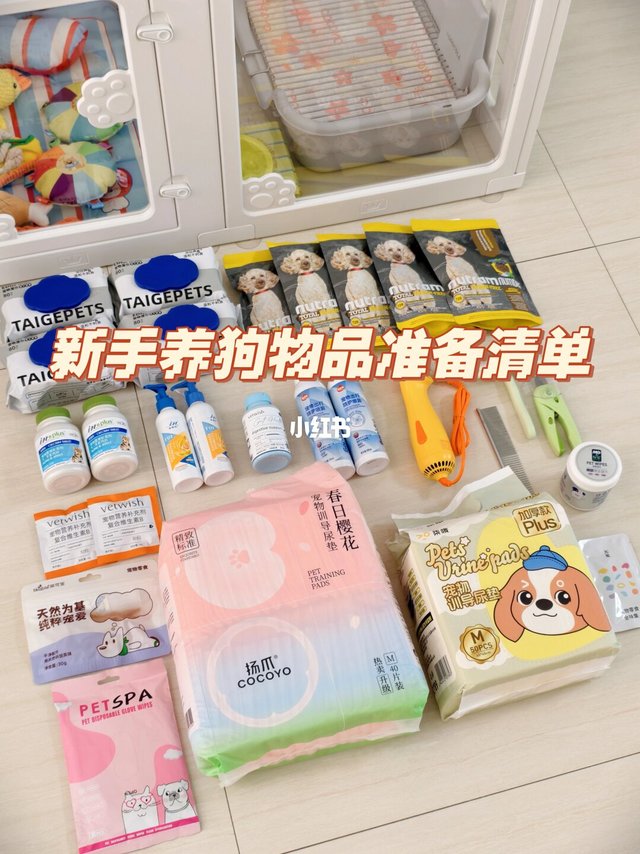 新手养狗物品准备清单
