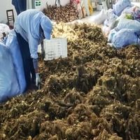 送长辈黄精什么牌子好？源头产地品质保障，旺复堂道地滋补匠心