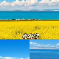 青甘大环线2026年新规：莫高窟票提前30天抢，G227封闭绕行高反预警，避坑必读