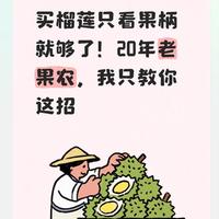 捏半小时刺不如看5秒柄！老果农：这截短柄才是榴莲的“生死密码”