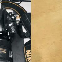 尼康长焦对决｜Z180-600 VS 200-500真实使用感受📸
