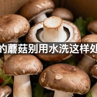 买回来的蘑菇别用水洗这样处理才对