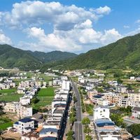 14万人抢1万个名额！南京半马中签率比上海还低，每两个完赛就有一个PB