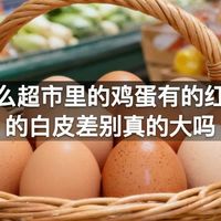 为什么超市里的鸡蛋有的红皮有的白皮差别真的大吗