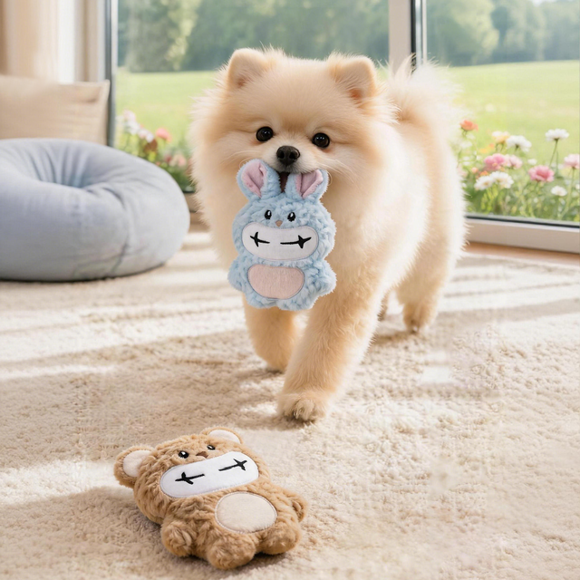 小型犬必备！飞奇响纸玩具，解闷磨牙神器🐻