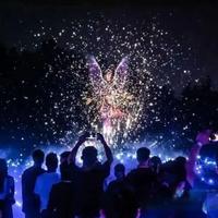 梵高沉浸展扎堆开幕，投影沉浸和VR体验到底差多少？一趟看完告诉你怎么选不踩雷