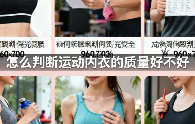 怎么判断运动内衣的质量好不好