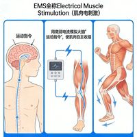 花3分钟搞懂EMS/TENS/NMES的区别，买脉冲腰带不再被坑