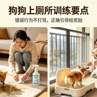 狗狗乱拉屡教不改？训犬师拆解三个让新手崩溃的高频坑