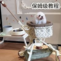 花500还是2000？宠物推车别乱买！搞清这4个维度，少花冤枉钱