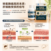 体检转氨酶偏高？授白水飞蓟的作用机制解析