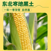 夏季减脂食材清单｜7款电商可囤好物，免开火低负担