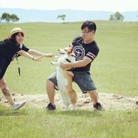 带狗徒步别再踩坑：这5类景区其实不让狗进，一文说清哪些地方真的友好