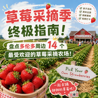 多伦多周边农场草莓熟了！价格差3倍、最快35分钟到，这些农场值得去