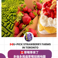 多伦多周边农场采摘避坑指南：樱桃最后一周蓝莓正当时