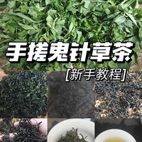 自制夏日续命水，手把手教会你手搓鬼针草茶