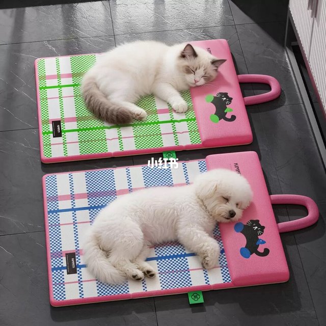 猫狗夏日续命垫✨一躺直接睡断片