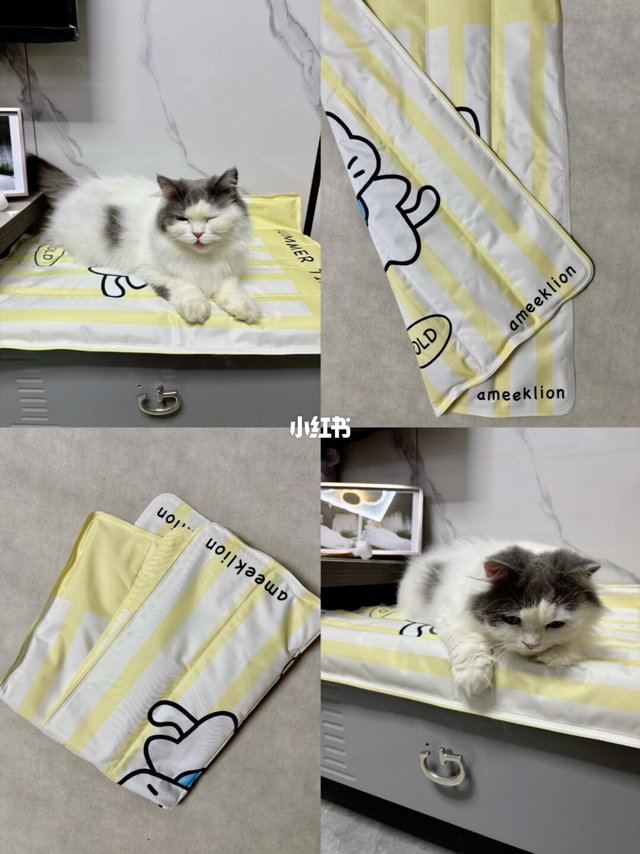 软乎乎冰垫，承包猫咪整个夏天午觉