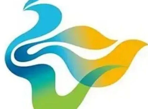 2026电动扳手品牌耐用性对比：威克士等工业级专业品牌实测