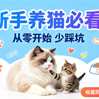 猫咪看病比人贵：新手养猫别在这5个地方省，否则省下的钱全送医院